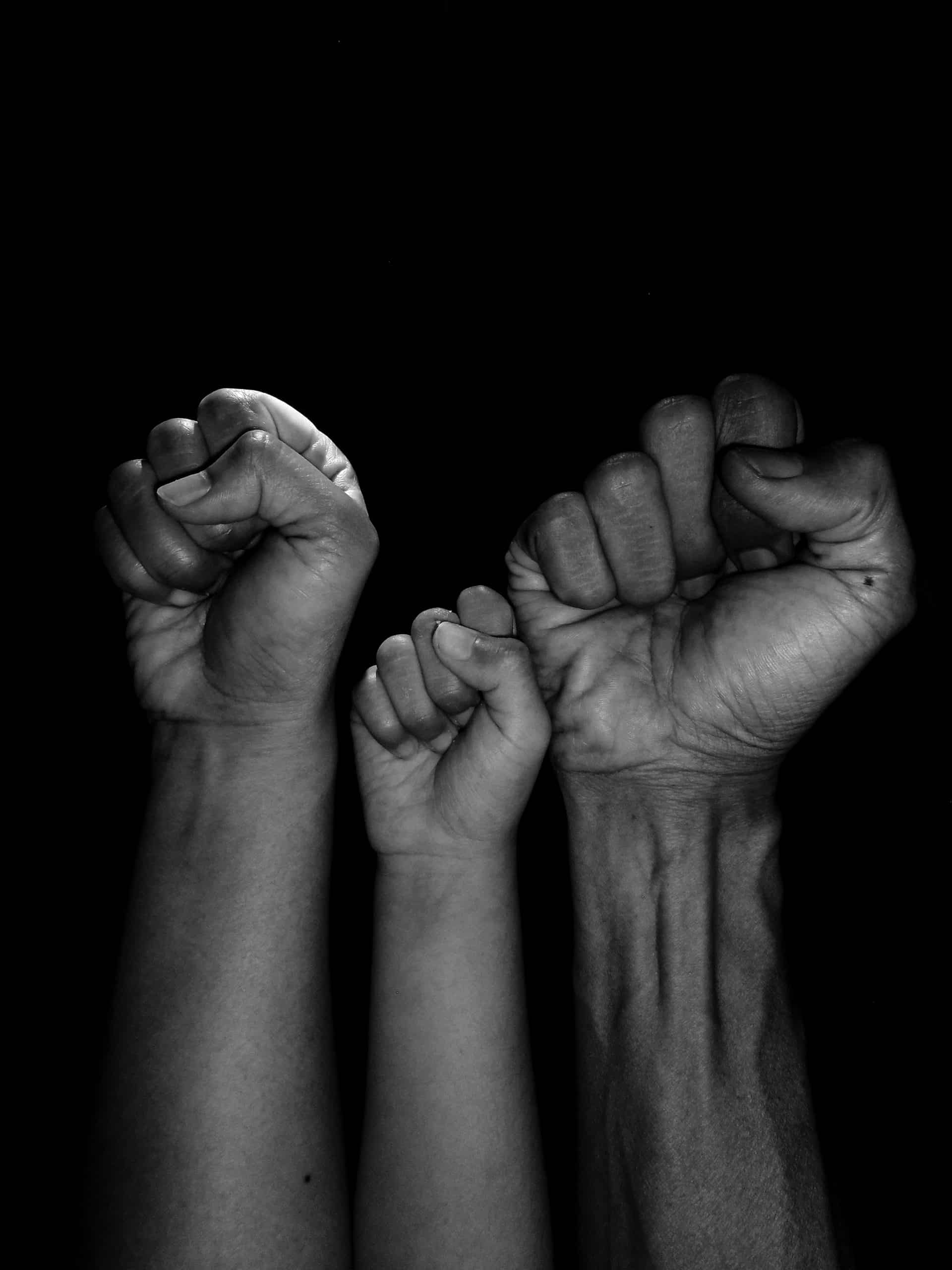 Clube poderá cobrar torcedor por prejuízo causado por ato racista, decide Conselho de Justiça